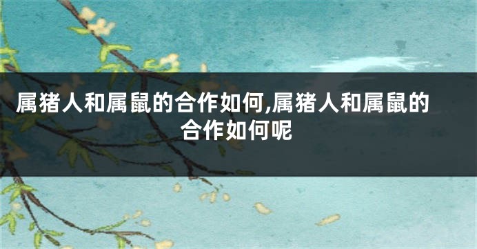 属猪人和属鼠的合作如何,属猪人和属鼠的合作如何呢