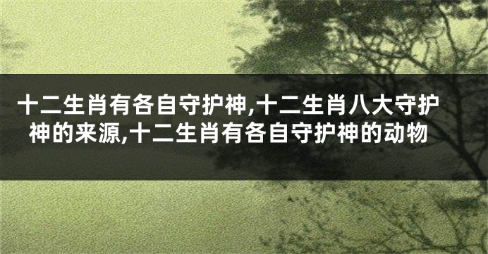 十二生肖有各自守护神,十二生肖八大守护神的来源,十二生肖有各自守护神的动物