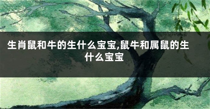 生肖鼠和牛的生什么宝宝,鼠牛和属鼠的生什么宝宝