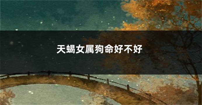 天蝎女属狗命好不好