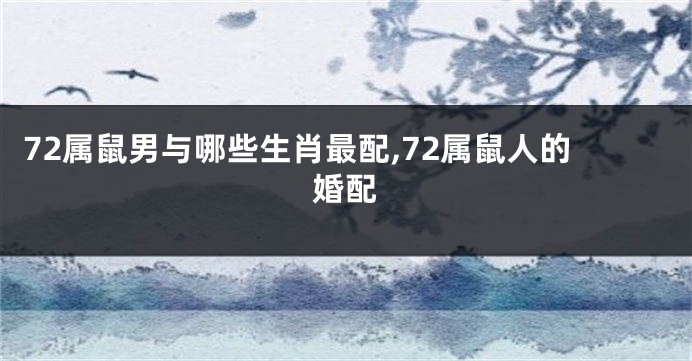 72属鼠男与哪些生肖最配,72属鼠人的婚配