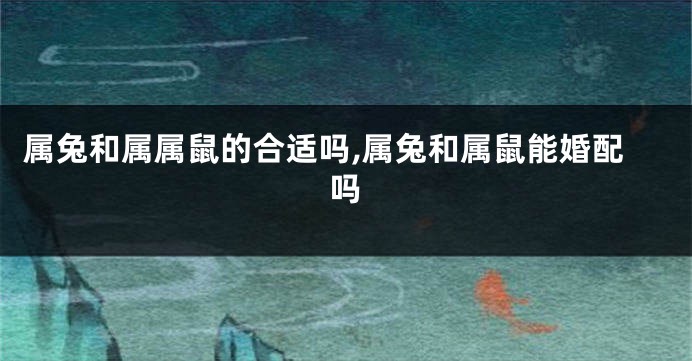 属兔和属属鼠的合适吗,属兔和属鼠能婚配吗