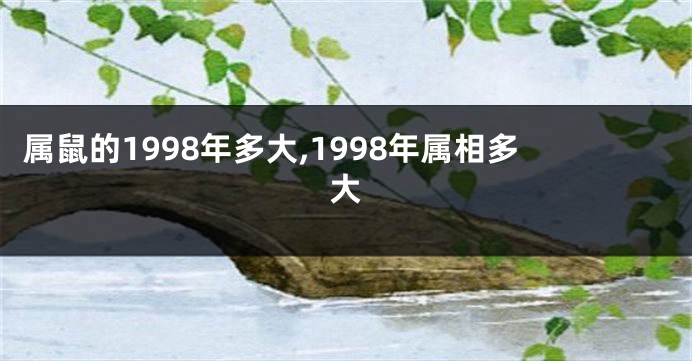 属鼠的1998年多大,1998年属相多大
