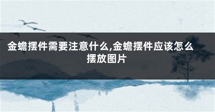 金蟾摆件需要注意什么,金蟾摆件应该怎么摆放图片