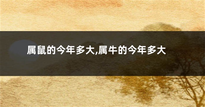 属鼠的今年多大,属牛的今年多大