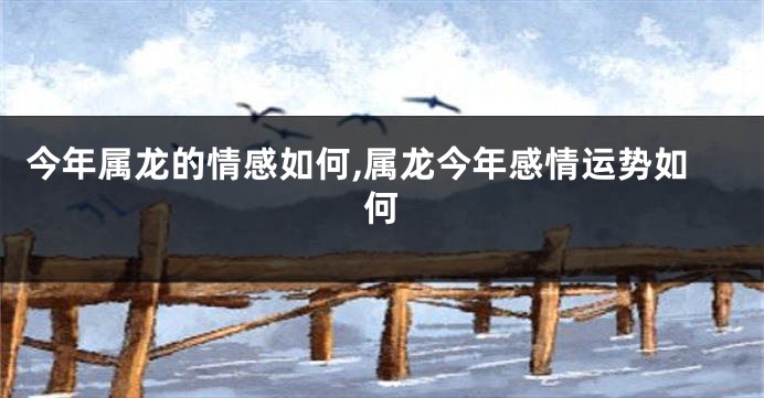今年属龙的情感如何,属龙今年感情运势如何