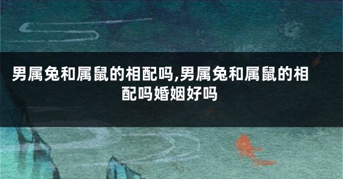 男属兔和属鼠的相配吗,男属兔和属鼠的相配吗婚姻好吗