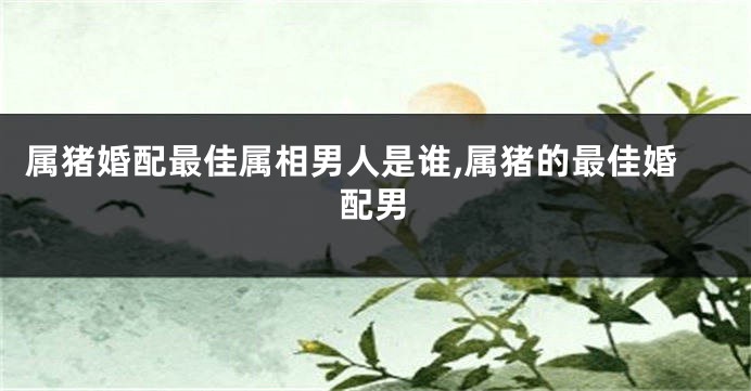 属猪婚配最佳属相男人是谁,属猪的最佳婚配男