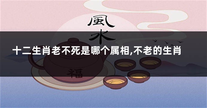十二生肖老不死是哪个属相,不老的生肖