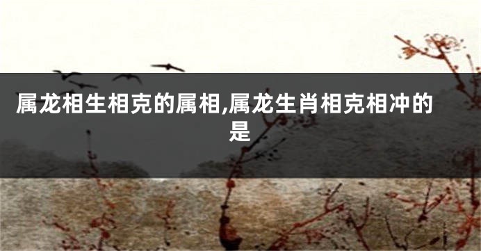 属龙相生相克的属相,属龙生肖相克相冲的是