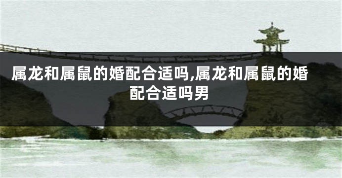 属龙和属鼠的婚配合适吗,属龙和属鼠的婚配合适吗男