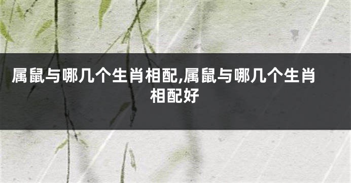 属鼠与哪几个生肖相配,属鼠与哪几个生肖相配好