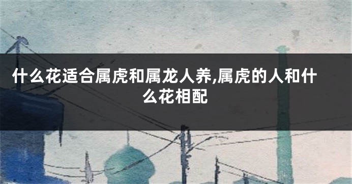 什么花适合属虎和属龙人养,属虎的人和什么花相配