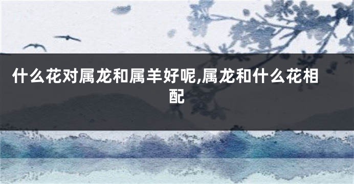 什么花对属龙和属羊好呢,属龙和什么花相配