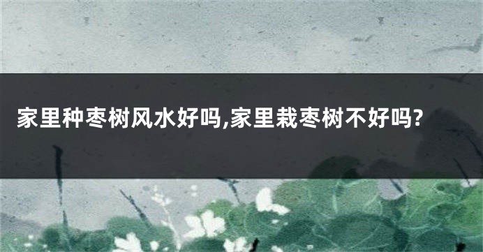 家里种枣树风水好吗,家里栽枣树不好吗?
