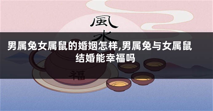 男属兔女属鼠的婚姻怎样,男属兔与女属鼠结婚能幸福吗