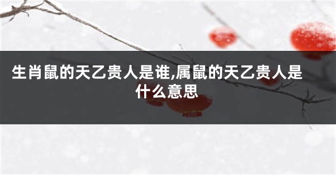 生肖鼠的天乙贵人是谁,属鼠的天乙贵人是什么意思