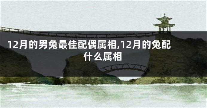 12月的男兔最佳配偶属相,12月的兔配什么属相