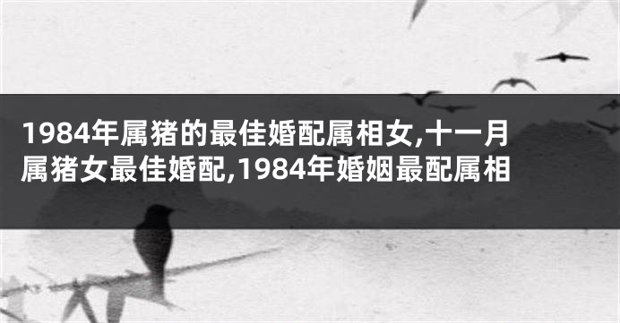 1984年属猪的最佳婚配属相女,十一月属猪女最佳婚配,1984年婚姻最配属相