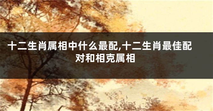 十二生肖属相中什么最配,十二生肖最佳配对和相克属相