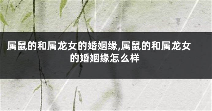 属鼠的和属龙女的婚姻缘,属鼠的和属龙女的婚姻缘怎么样