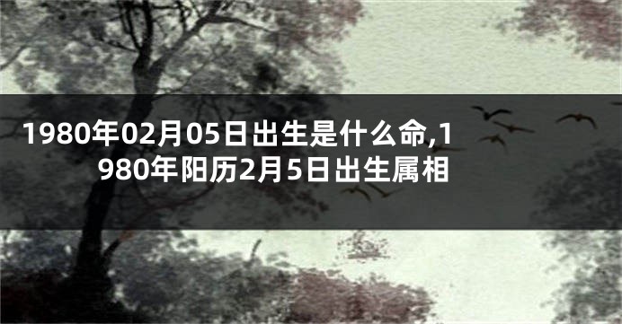 1980年02月05日出生是什么命,1980年阳历2月5日出生属相
