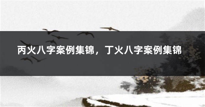丙火八字案例集锦,丁火八字案例集锦