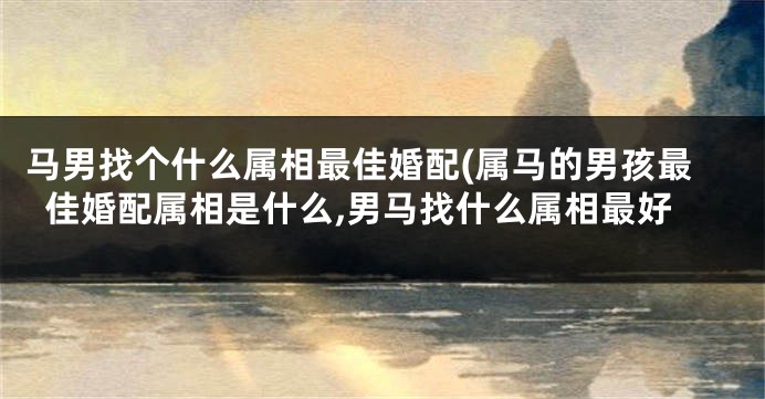 马男找个什么属相最佳婚配(属马的男孩最佳婚配属相是什么,男马找什么属相最好