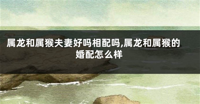 属龙和属猴夫妻好吗相配吗,属龙和属猴的婚配怎么样
