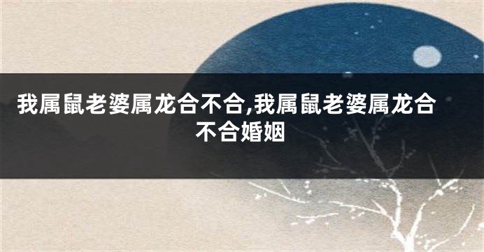 我属鼠老婆属龙合不合,我属鼠老婆属龙合不合婚姻
