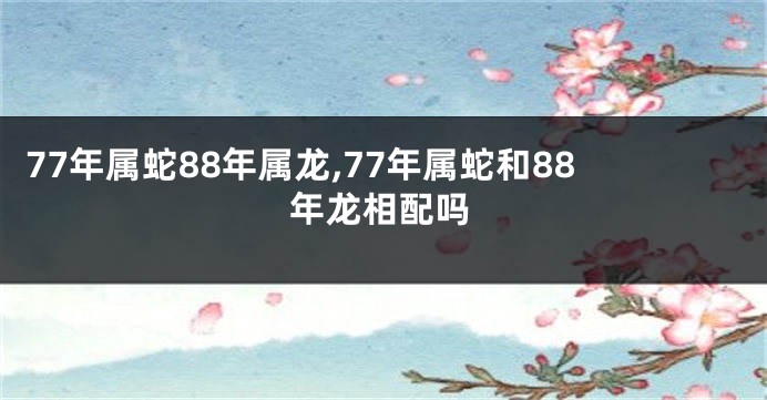 77年属蛇88年属龙,77年属蛇和88年龙相配吗