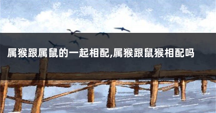 属猴跟属鼠的一起相配,属猴跟鼠猴相配吗