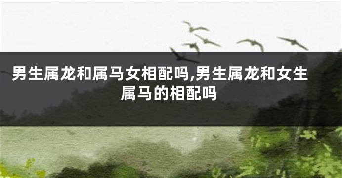 男生属龙和属马女相配吗,男生属龙和女生属马的相配吗