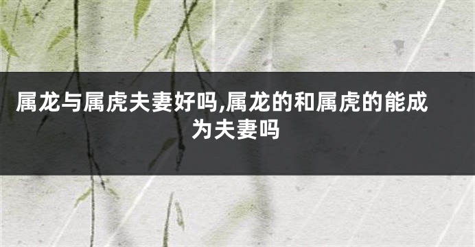 属龙与属虎夫妻好吗,属龙的和属虎的能成为夫妻吗