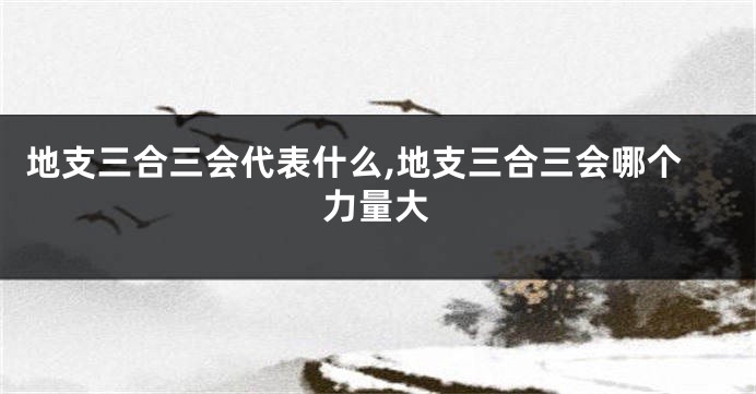 地支三合三会代表什么,地支三合三会哪个力量大