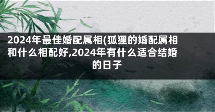 2024年最佳婚配属相(狐狸的婚配属相和什么相配好,2024年有什么适合结婚的日子