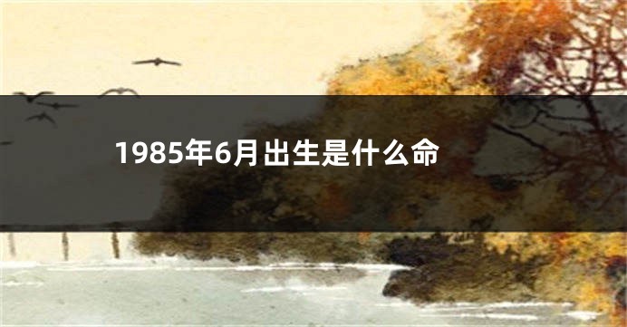 1985年6月出生是什么命