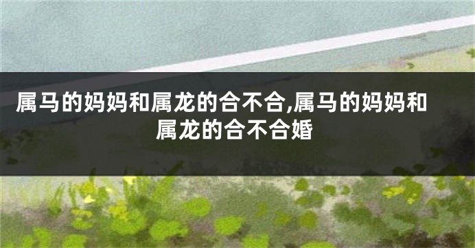 属马的妈妈和属龙的合不合,属马的妈妈和属龙的合不合婚
