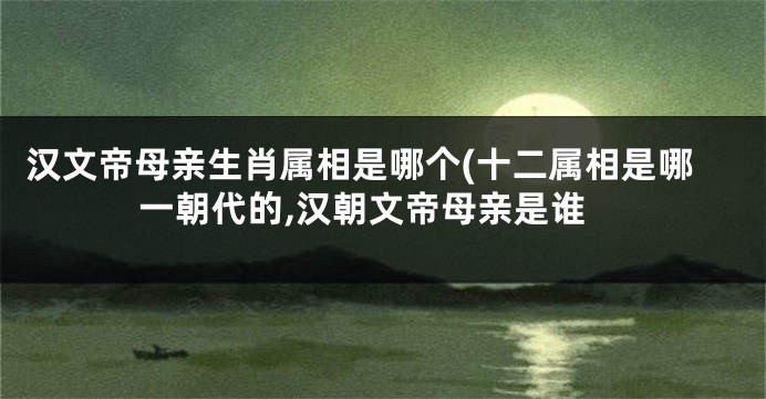 汉文帝母亲生肖属相是哪个(十二属相是哪一朝代的,汉朝文帝母亲是谁