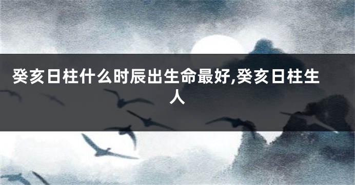 癸亥日柱什么时辰出生命最好,癸亥日柱生人