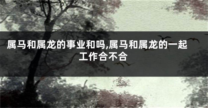 属马和属龙的事业和吗,属马和属龙的一起工作合不合