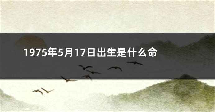 1975年5月17日出生是什么命