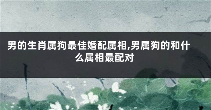 男的生肖属狗最佳婚配属相,男属狗的和什么属相最配对