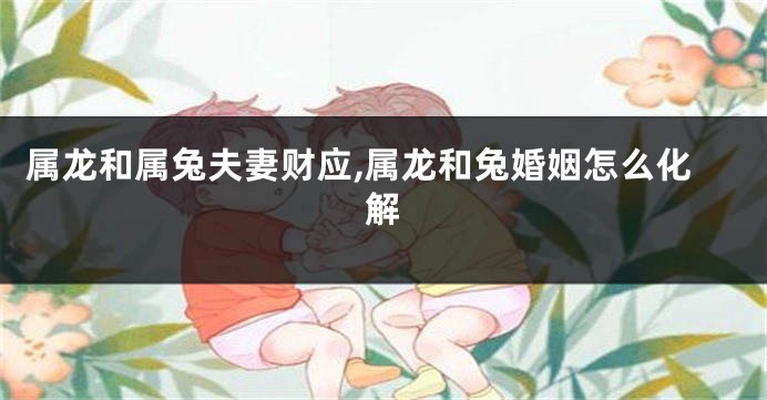 属龙和属兔夫妻财应,属龙和兔婚姻怎么化解