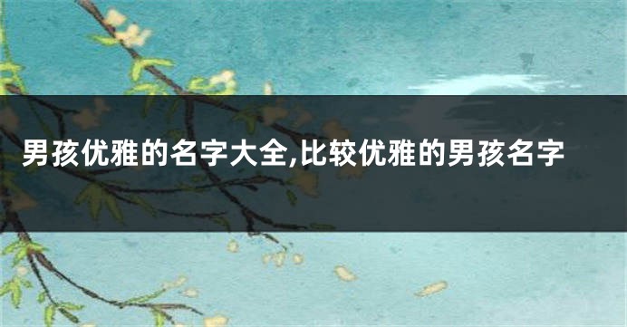 男孩优雅的名字大全,比较优雅的男孩名字