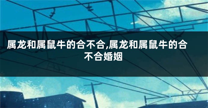 属龙和属鼠牛的合不合,属龙和属鼠牛的合不合婚姻