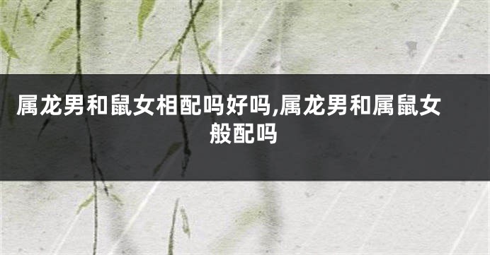 属龙男和鼠女相配吗好吗,属龙男和属鼠女般配吗