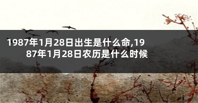 1987年1月28日出生是什么命,1987年1月28日农历是什么时候