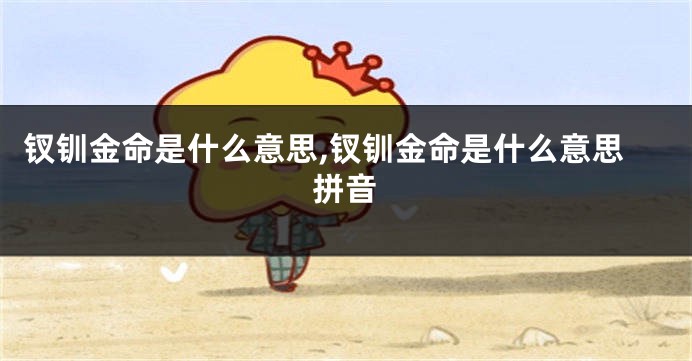 钗钏金命是什么意思,钗钏金命是什么意思拼音