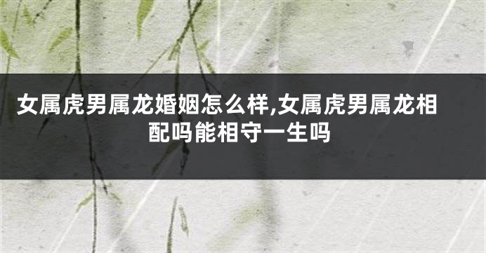 女属虎男属龙婚姻怎么样,女属虎男属龙相配吗能相守一生吗